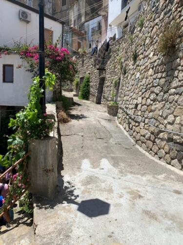 WhatsApp Image 2020-06-07 at 14.42.09(2) (1)